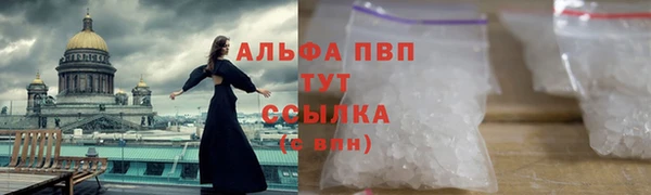 прущие крисы Пересвет
