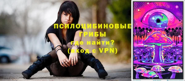 прущие крисы Пересвет