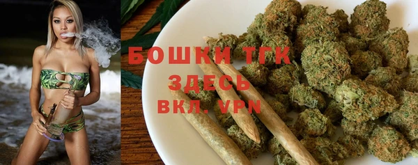 прущие крисы Пересвет