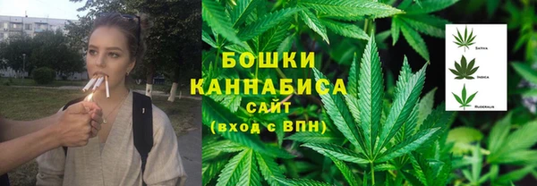 прущие крисы Пересвет