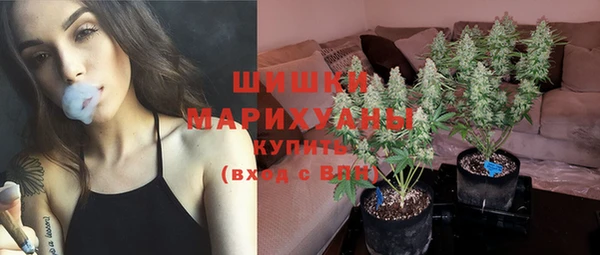 круглые Пестово
