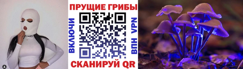 даркнет сайт  Тавда  Псилоцибиновые грибы мицелий 