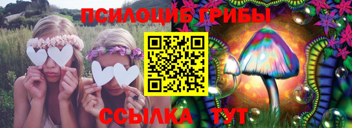 Псилоцибиновые грибы Magic Shrooms Тавда